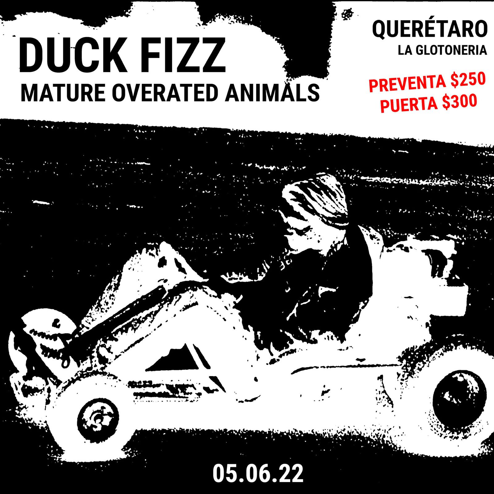 Duck Fizz + Mature Over Rated Animals en Querétaro
